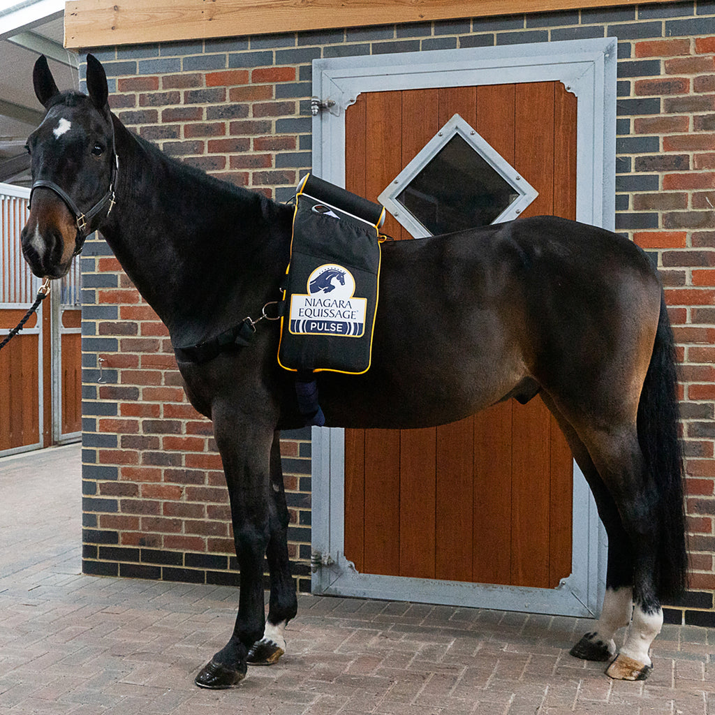 Black Niagara Equissage® Pulse Digital Pad