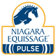 Niagara Equissage USA Logo
