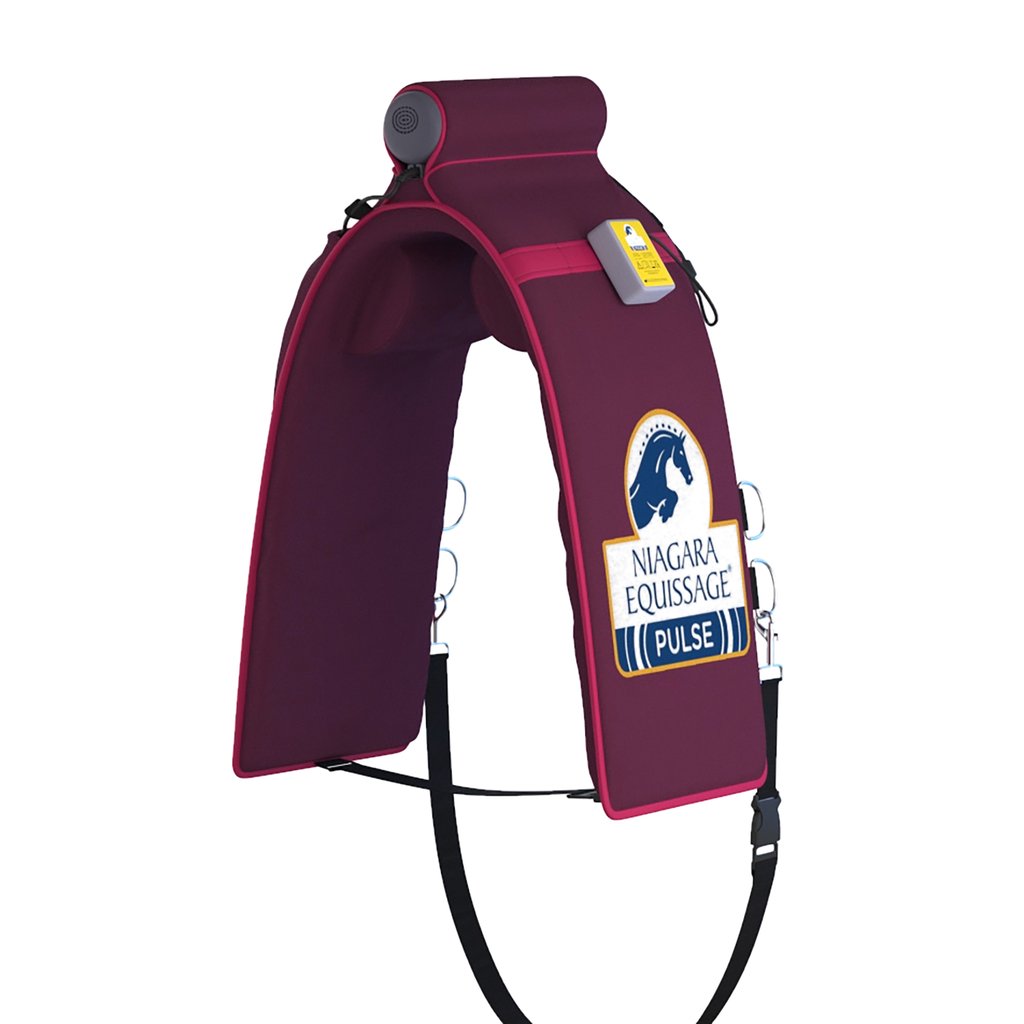 Niagara Equissage® Traditional Set